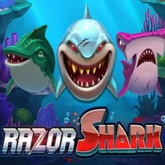 L444 Casino — Razor Shark